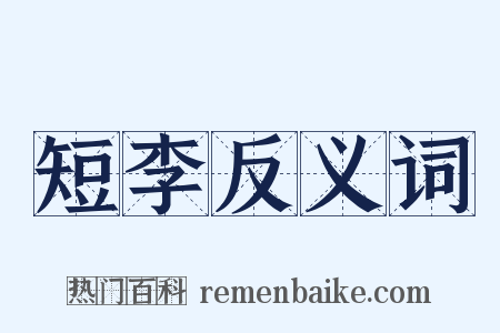 短李反义词是什么意思的图片